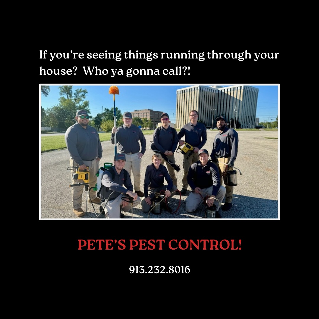 Pete's Pest Control business image in Mission, Kansas